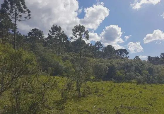 Fazenda/Sítio/Chácara para venda tem 580000 metros quadrados em Perico - São Joaquim - SC - Foto 4