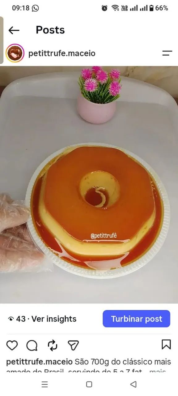 Pudim sobremesa 