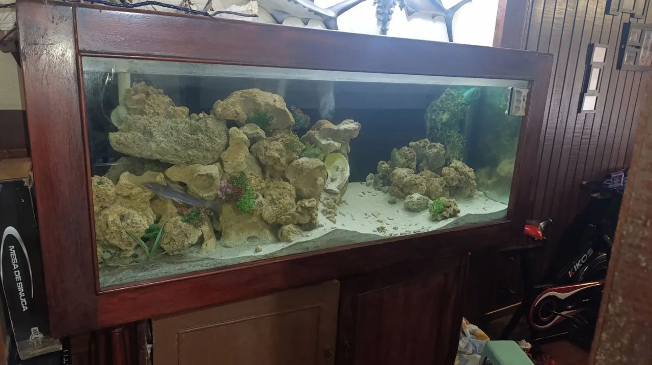 Aquário 500L completo  - Foto 4