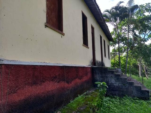 Fazenda - Foto 3