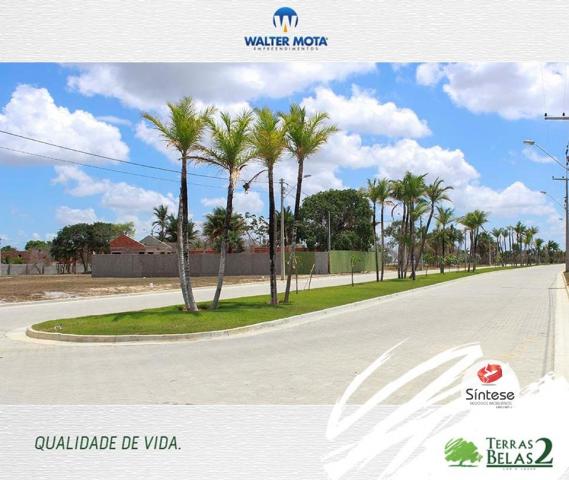 Terreno, Jabuti, Itaitinga-CE - Foto 5