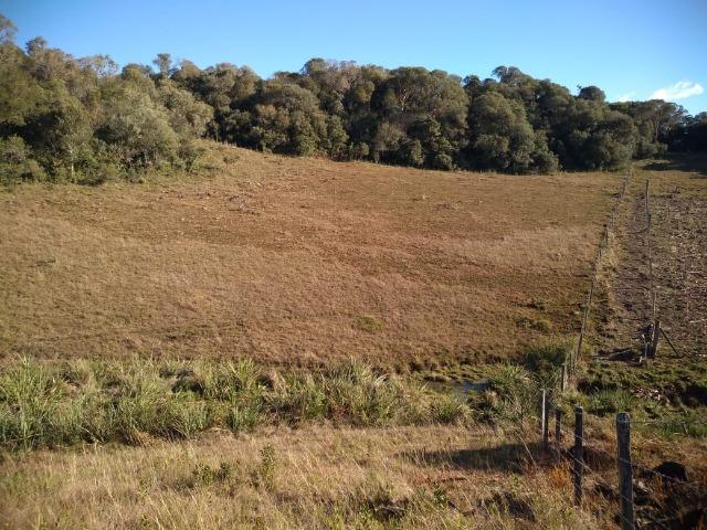 Belíssima área de campo para sitio de lazer com 30000 m² - Foto 8