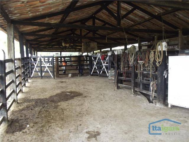 Fazenda à venda, 2790000 m² por r$ 1.800.000,00 - centro - cravolândia/ba - Foto 13