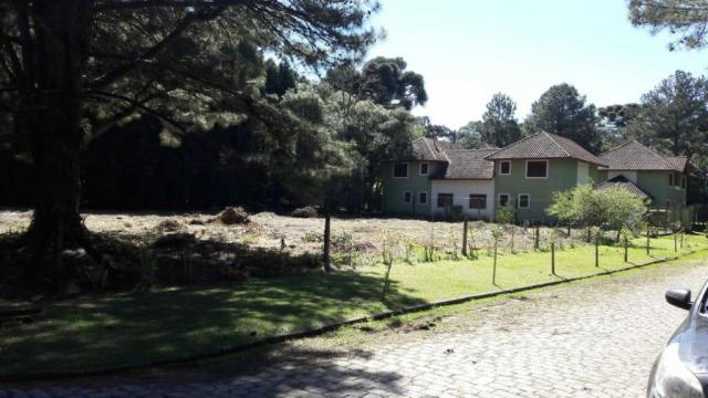 Casa à venda com 2 dormitórios em Parque das hortênsias, Canela cod:NI05502 - Foto 8