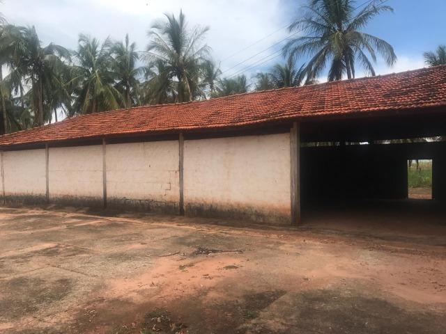 Vende-se Fazenda na Cidade de Dirce Reis-SP - Foto 9