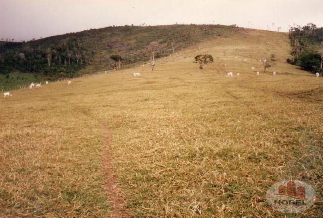 Chácara à venda em Zona rural, Castro alves cod:4570 - Foto 19