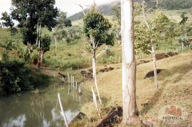 Chácara à venda em Zona rural, Castro alves cod:4570 - Foto 15