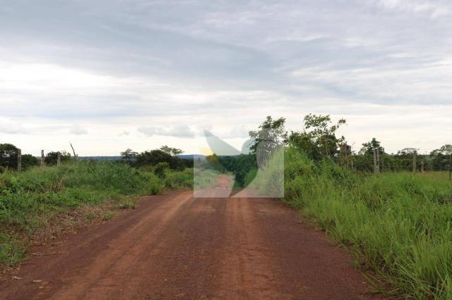 Chácara à venda, 127340 m² por r$ 249.500 - zona rural - rondonópolis/mato grosso - Foto 6