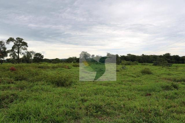 Chácara à venda, 127340 m² por r$ 249.500 - zona rural - rondonópolis/mato grosso - Foto 9