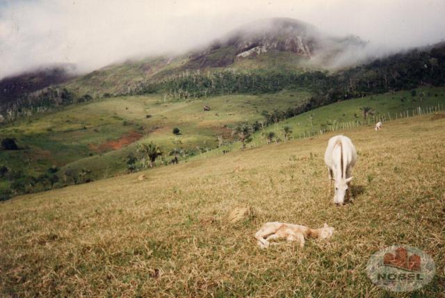 Chácara à venda em Zona rural, Castro alves cod:4570 - Foto 18