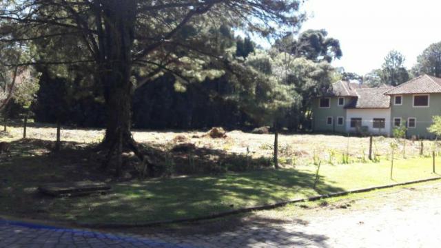Casa à venda com 2 dormitórios em Parque das hortênsias, Canela cod:NI05502