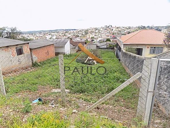Terreno para alugar em Paloma, Colombo cod:31029001 - Foto 3