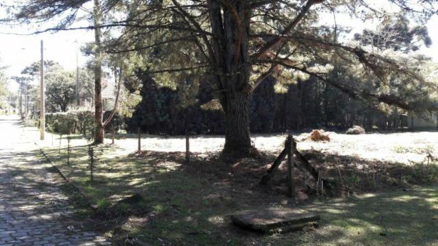 Casa à venda com 2 dormitórios em Parque das hortênsias, Canela cod:NI05502 - Foto 7