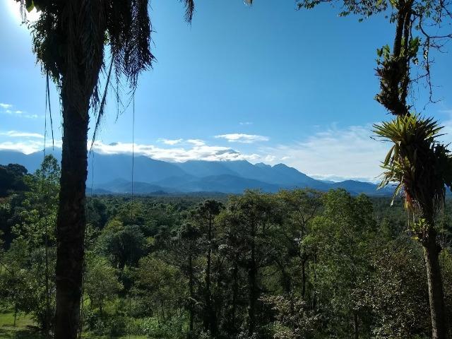 Excelente fazenda em Antonina 40 Alqueires - Foto 16