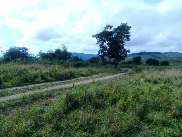 Fazenda Floresta Azul