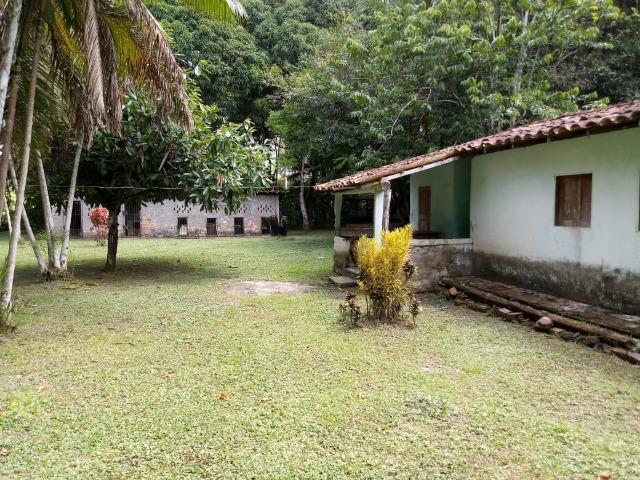 Vende-se Belissima Chácara em Benevides 40.000m - Foto 15