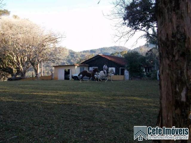 Sítio - Foto 2