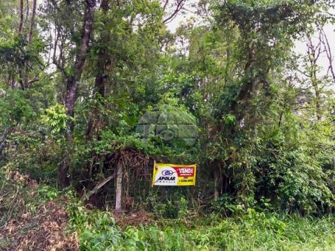 Terreno à venda em Barreirinha, Curitiba cod:142312