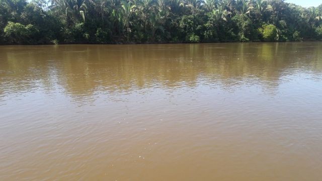29,00 Hectares, Beira Rio Sepotuba, um Sonho-Tangará, Ligue Agora!!! - Foto 4