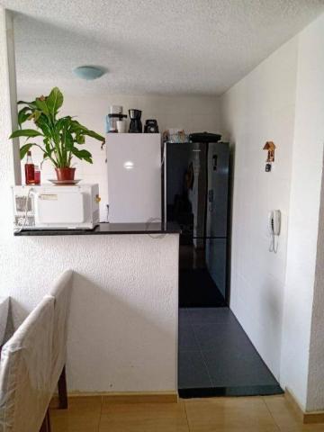 Apartamento com 2 dormitórios para alugar, 45 m² por R$ 650/mês - Água Chata - Guarulhos/S - Foto 12