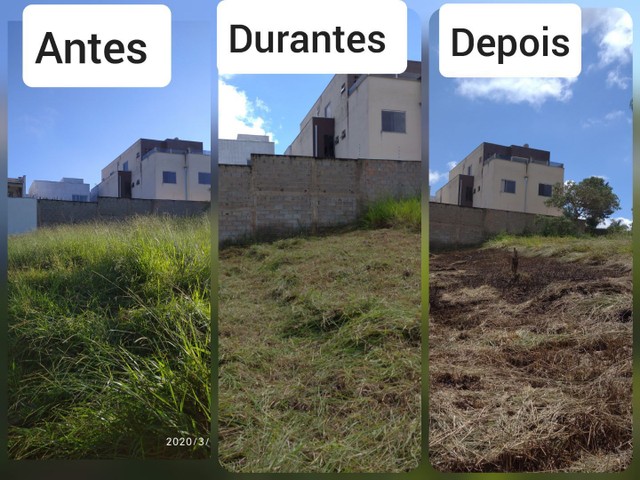 Limpeza de lote - Foto 3