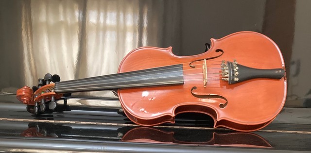 Viola 5 Cordas Relíquia 