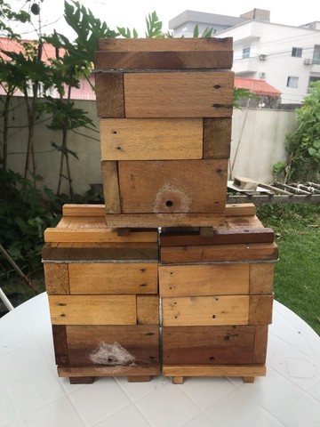 Caixa de abelha  sem ferrão 