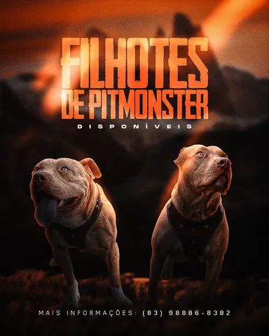 FILHOTES DE PITMONSTER