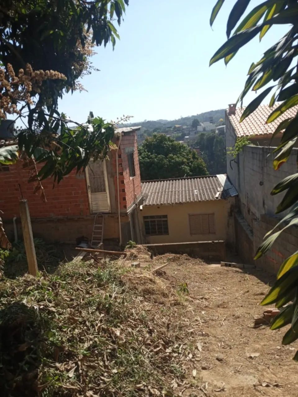 Foto - Francisco Morato - Jardim Alegria