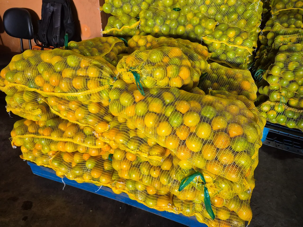 20 sacos de Laranja miúda (Madura)