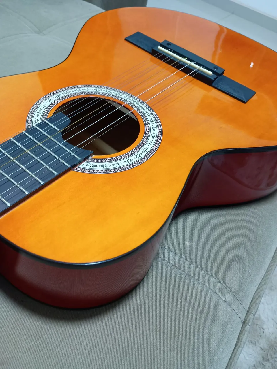 Viola acústica - Giannini start