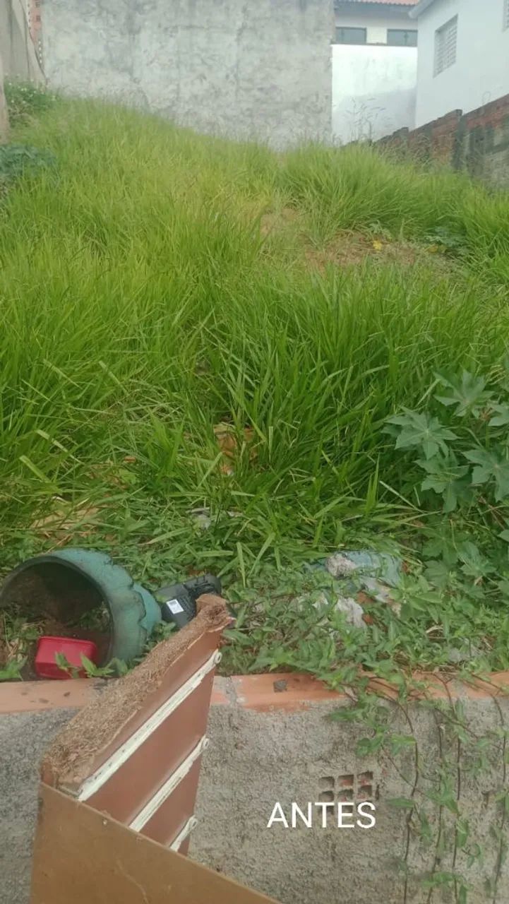 Roçamos lotes e terrenos - orçamento sem compromisso  - Foto 2