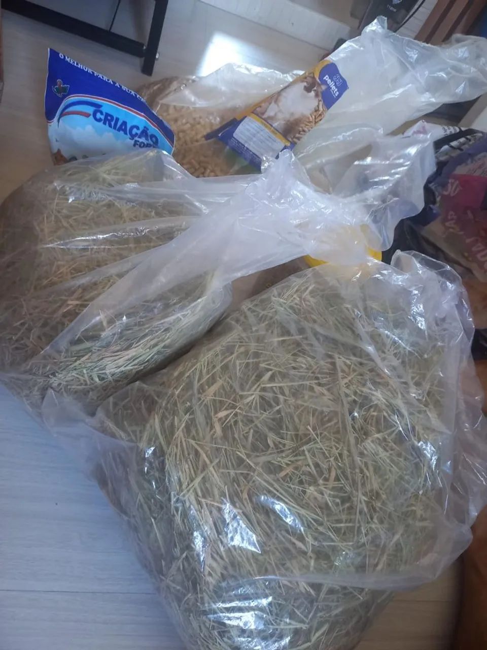 Casinha de Roedores  - Foto 5