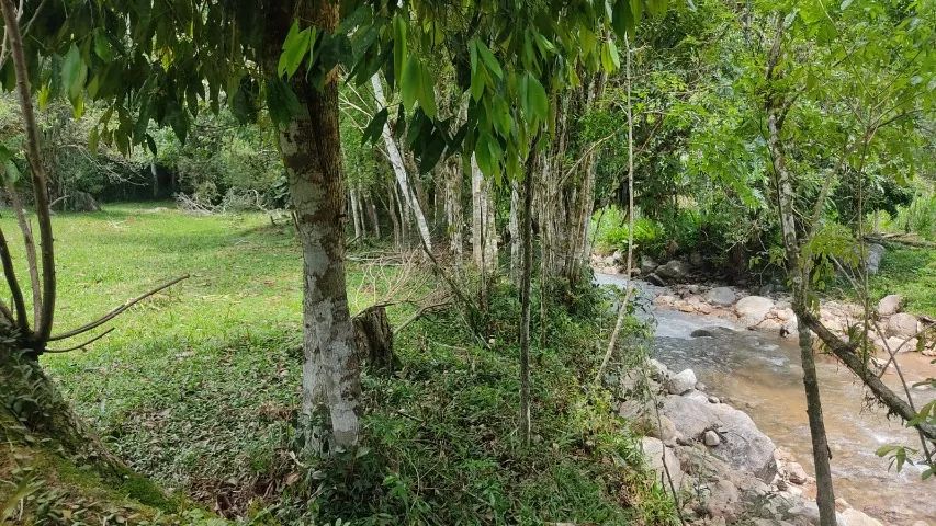 Lindo terreno de 3.000m² estrema com ribeirão de águas cristalinas! - Foto 2
