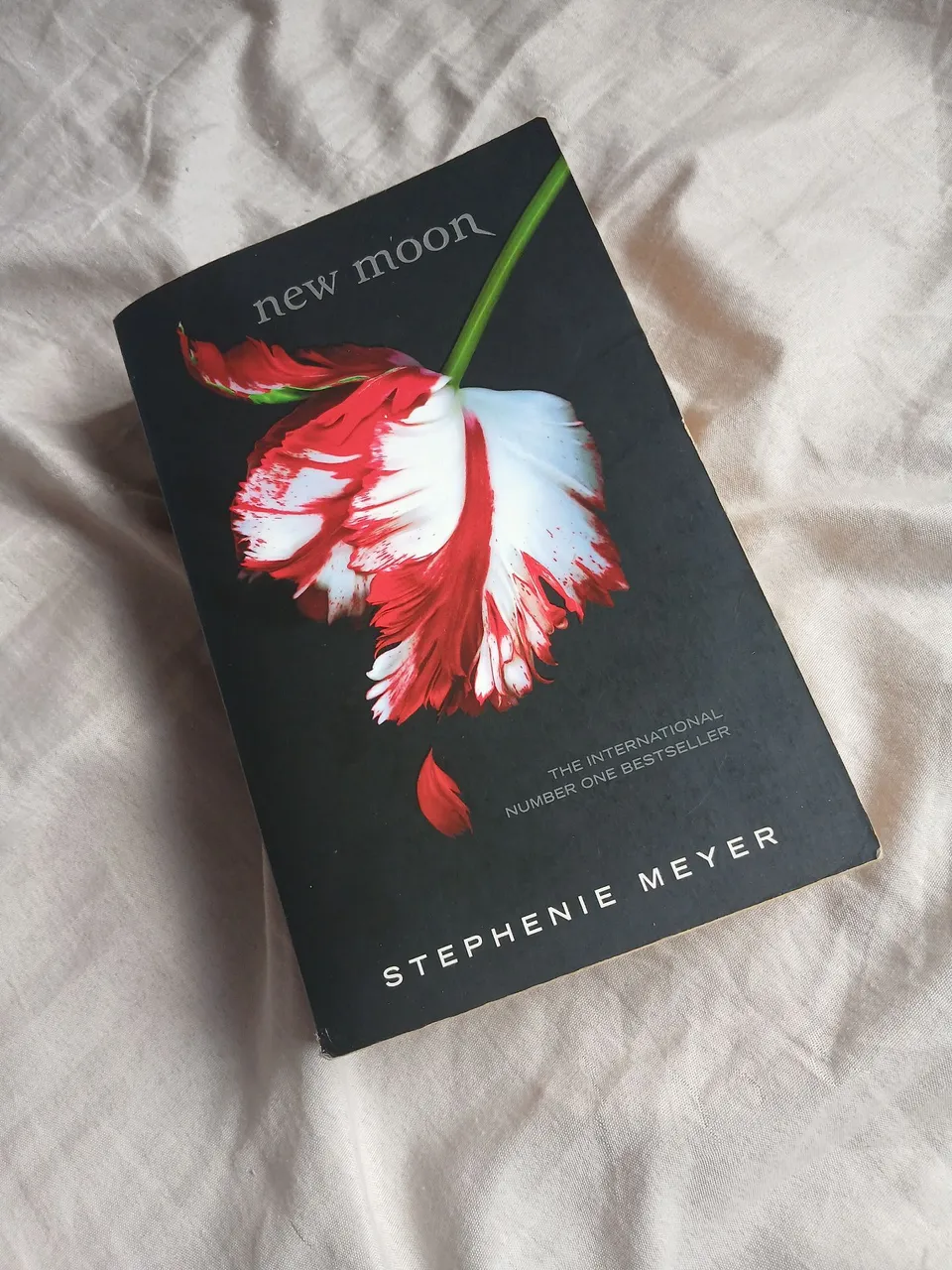 Livro New Moon - Stephenie Meyer - Saga crepúsculo livro 2