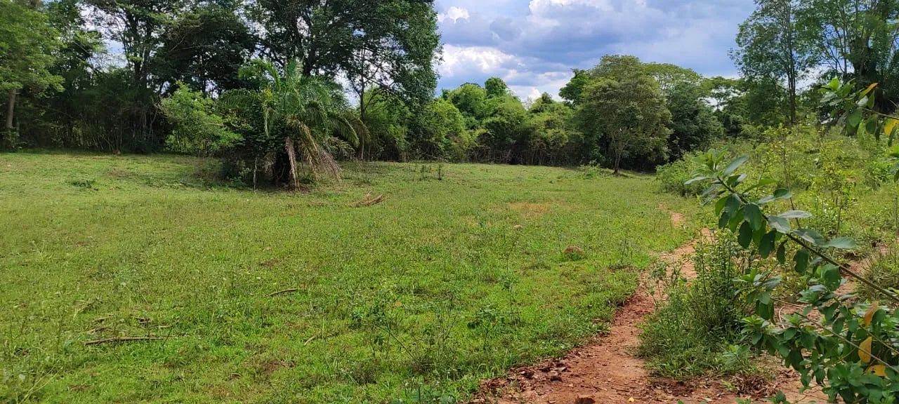 Fazenda de 50 alqueires em Heitorai-Go  - Foto 3
