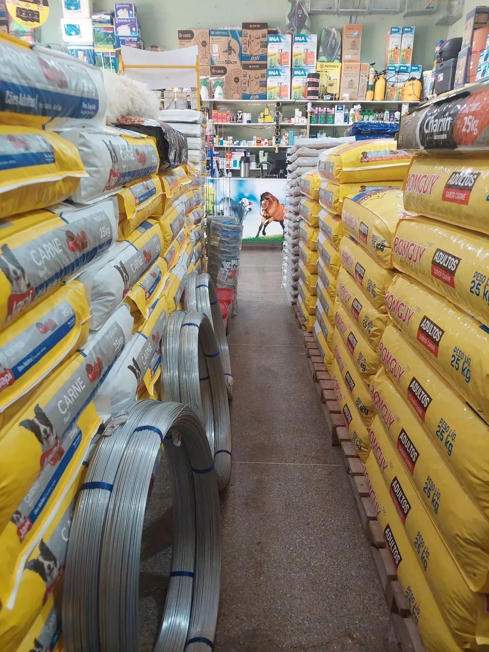 Vendo prédio com loja agropecuária  - Foto 3