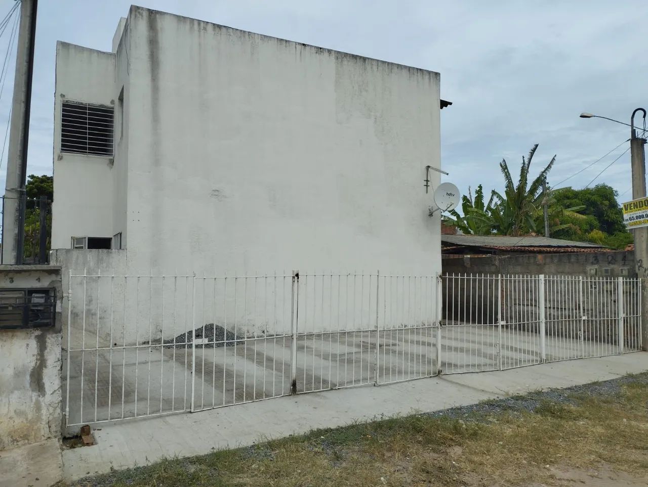 Foto - Paulista - Pau Amarelo