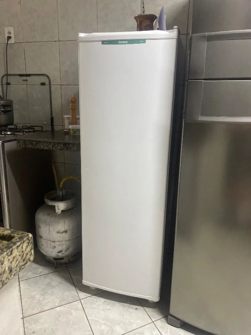 Freezer vertical