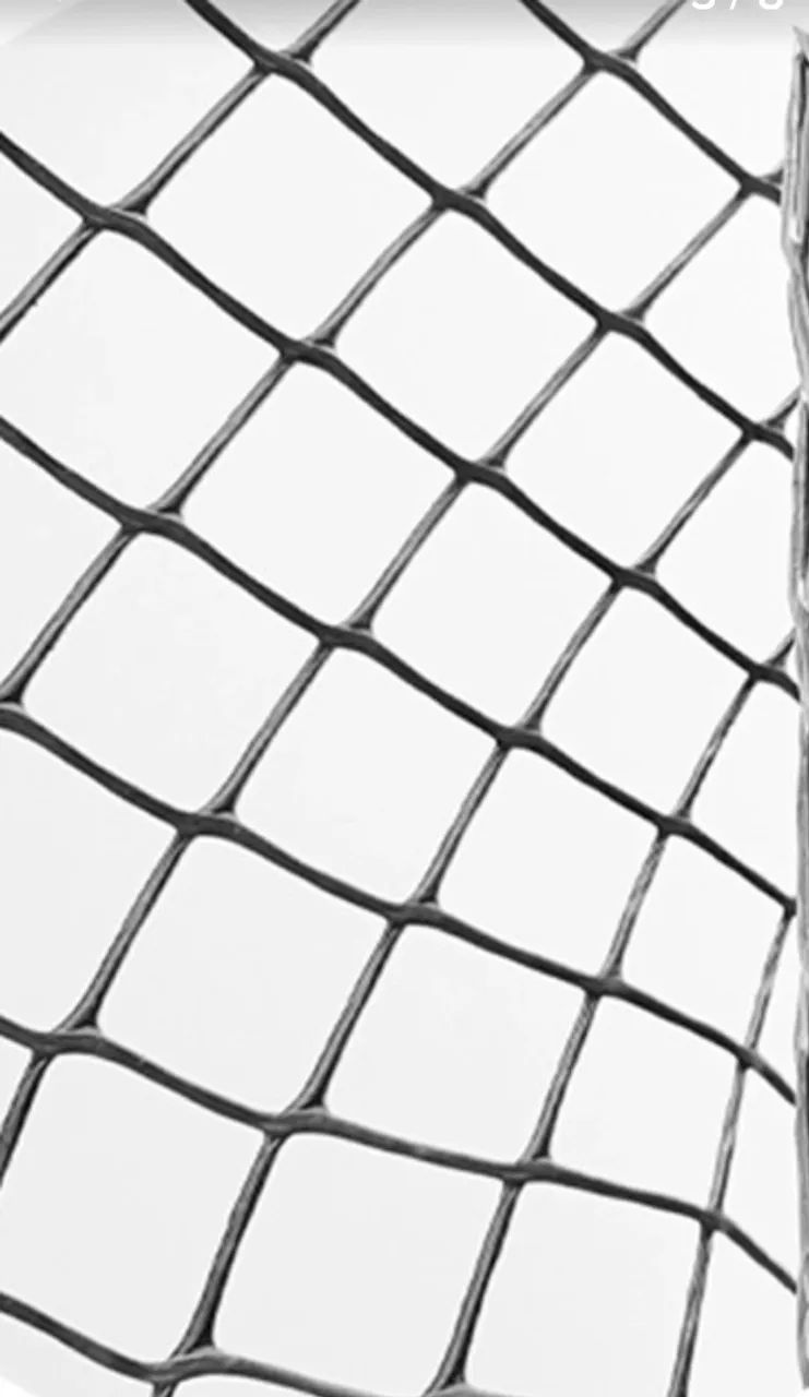 2 rolos de Tela Plastica Roma Altura 1,00x50 Metros galinheiro Galinheiro  - Foto 2