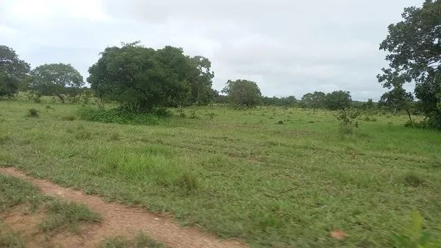 FAZENDA DUPLA APTIDÃO,  NA REGIÃO DE COUTO MAGALHÃES, NO VALE DO ARAGUAI-TO 22.200 ,000 - Foto 3