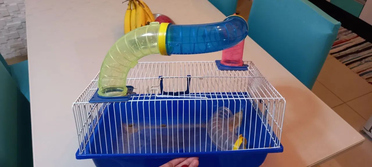 Casinha de hamster 