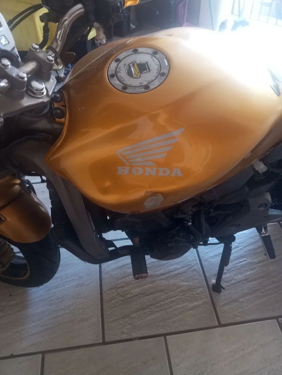 Hornet 2009 - Foto 7