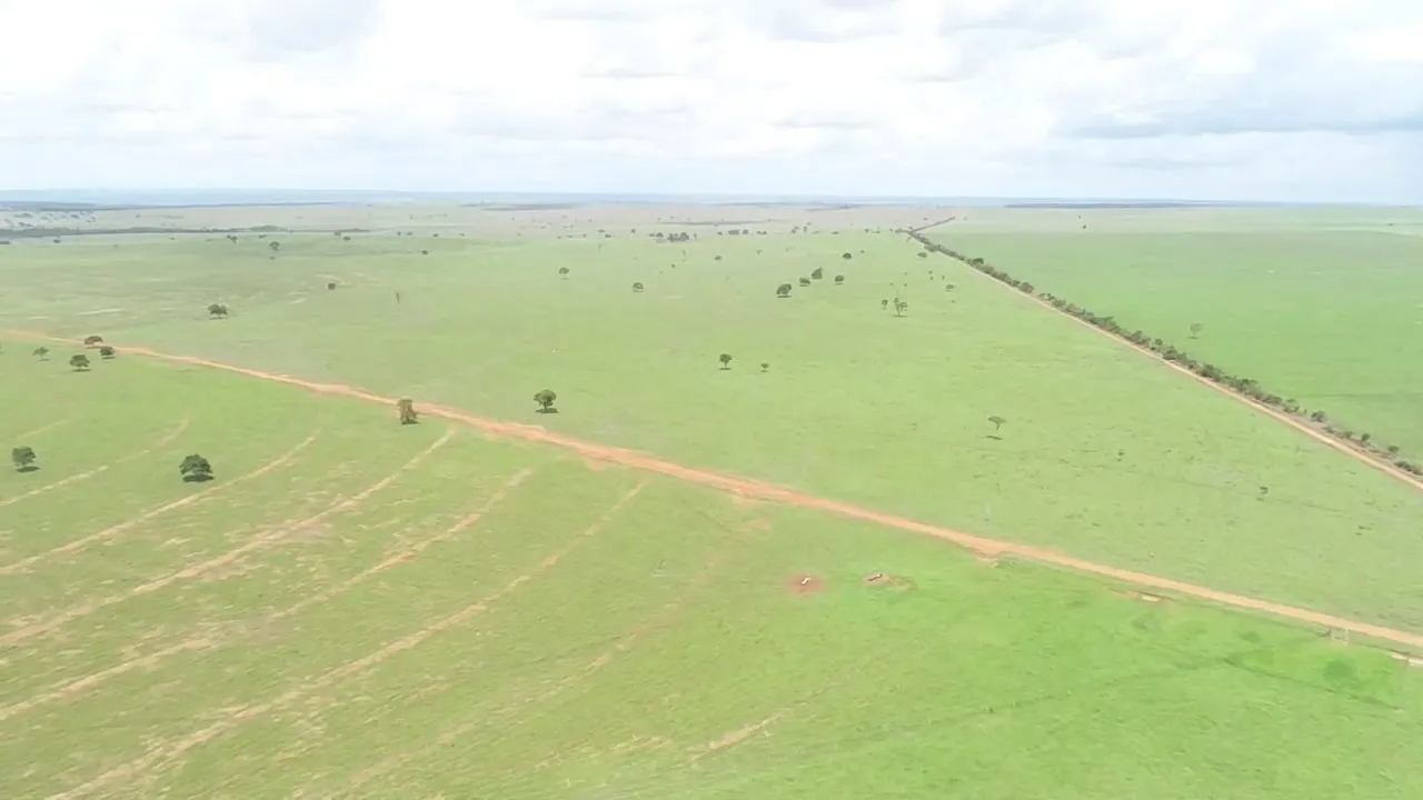 Fazenda de arrendamento 2.000 hec entre camapuã e paraíso das águas MS.