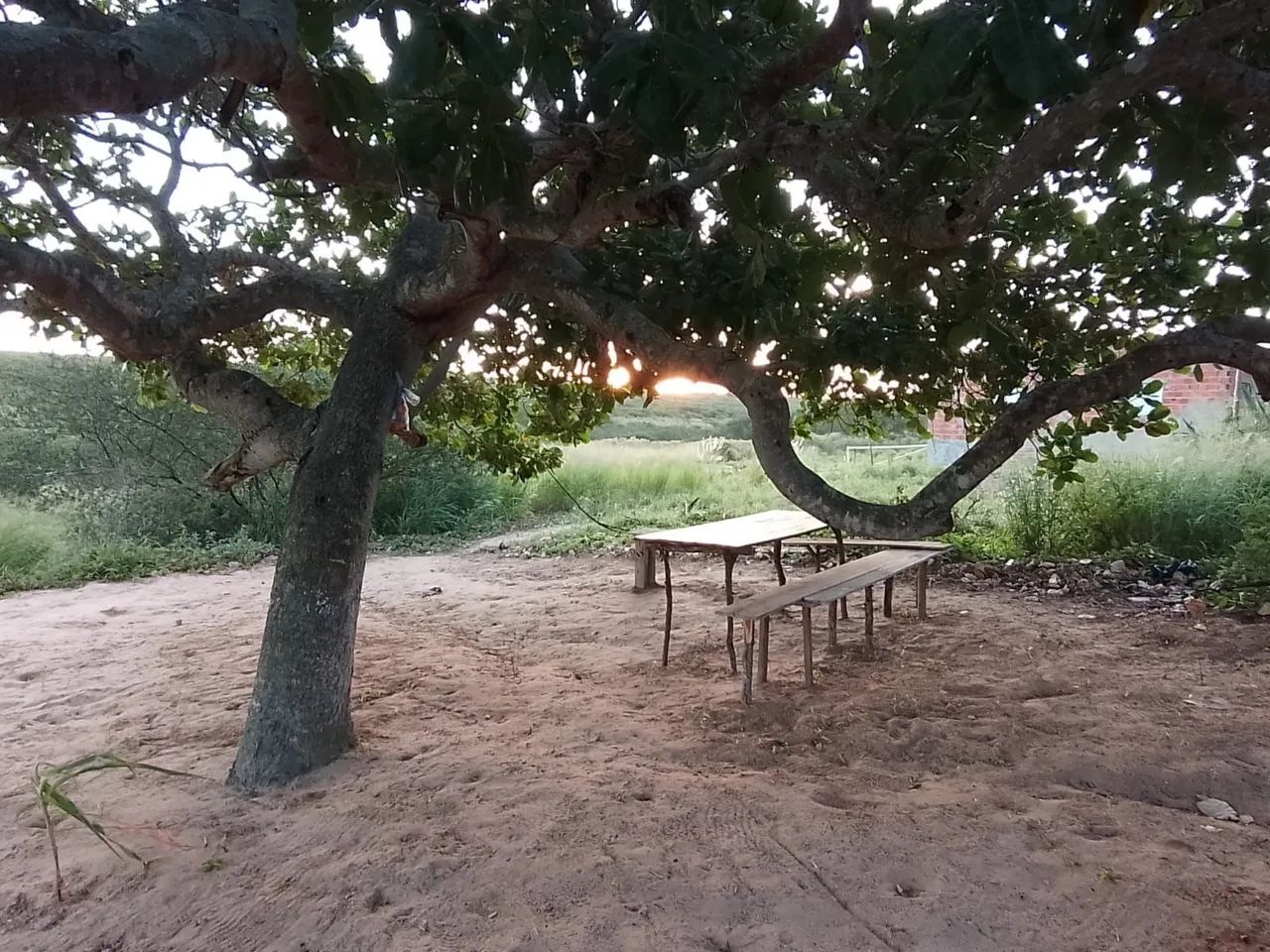 12 tarefas+ casa avenda 