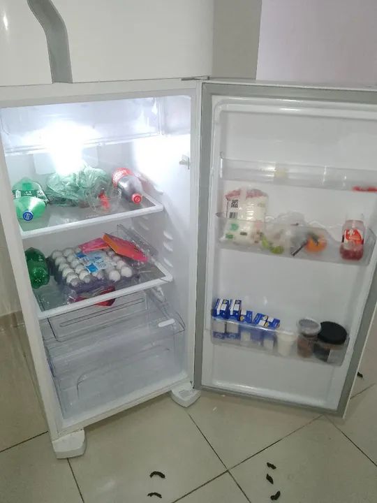 Geladeira Electrolux Frost Free 371 Litros - Foto 4