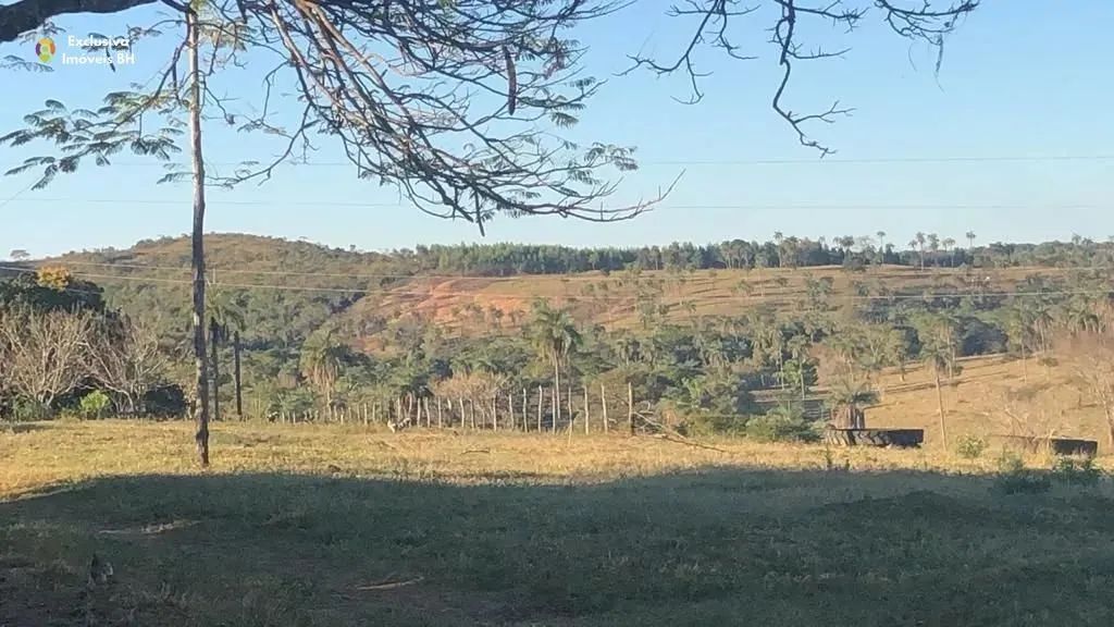 Fazenda à Venda em Abaeté - MG. 652 ha - Zona Rural. - Foto 5