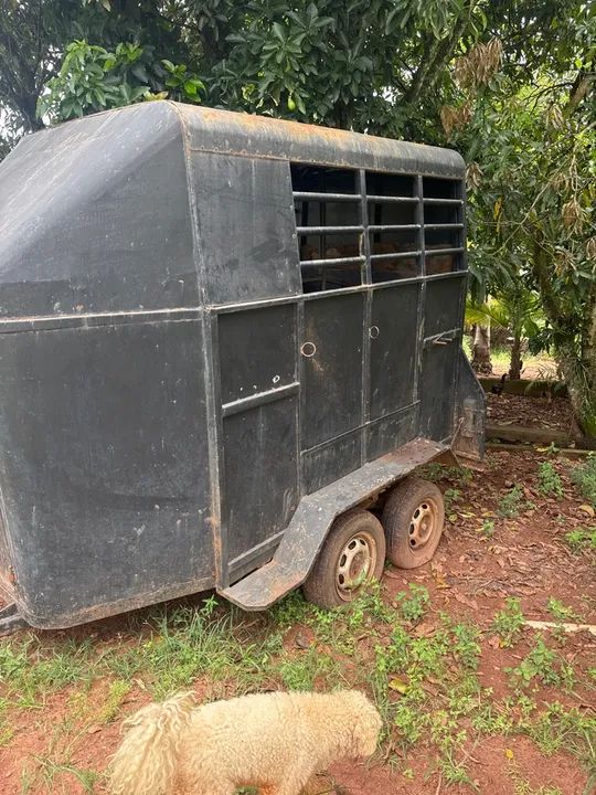 Treller 2 cavalos - Foto 4