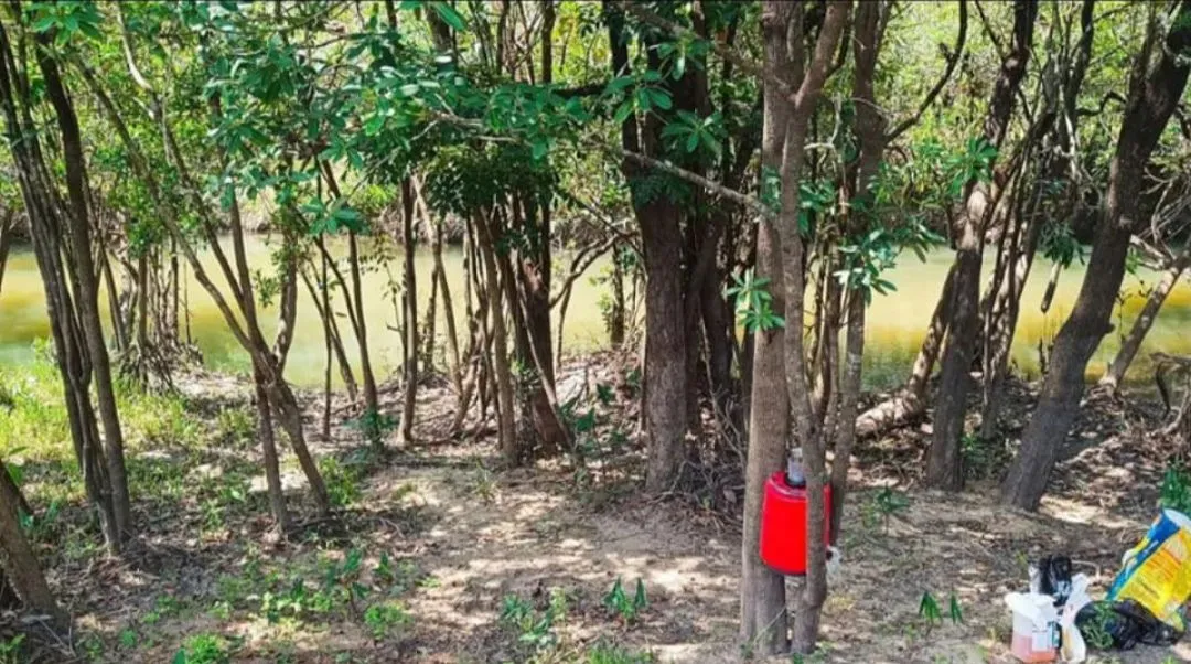 Banho no Agua Boa