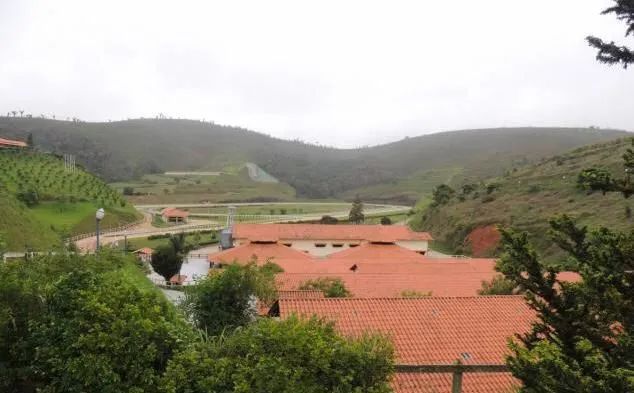 Haras cinematográfico  - Foto 5